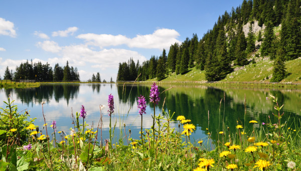 green lake